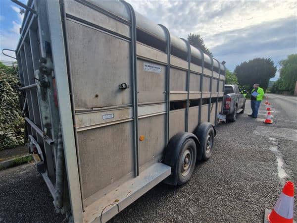 NEWS | West Mercia Police and Herefordshire Council carry out a joint operation in Leominster involving livestock and agricultural vehicles