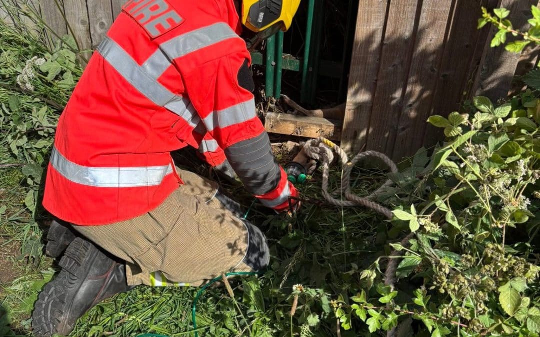 NEWS | Fire crews in Hereford carry out an extraordinary animal rescue