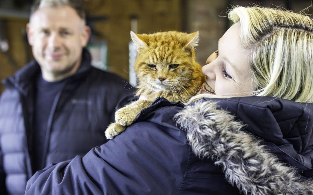 NEWS | A 22-year-old cat from Herefordshire has been named as a finalist in the Cats Protection National Cat Awards 2025