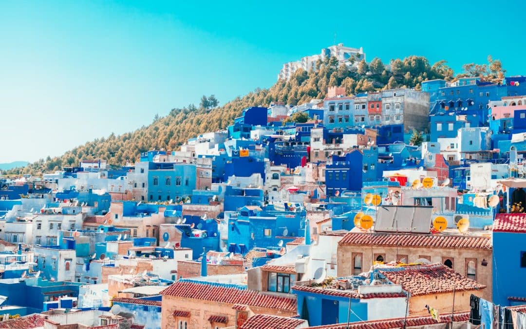 NEWS | Urgent advice issued to holidaymakers visiting several countries after a person from the UK died after becoming infected with rabies