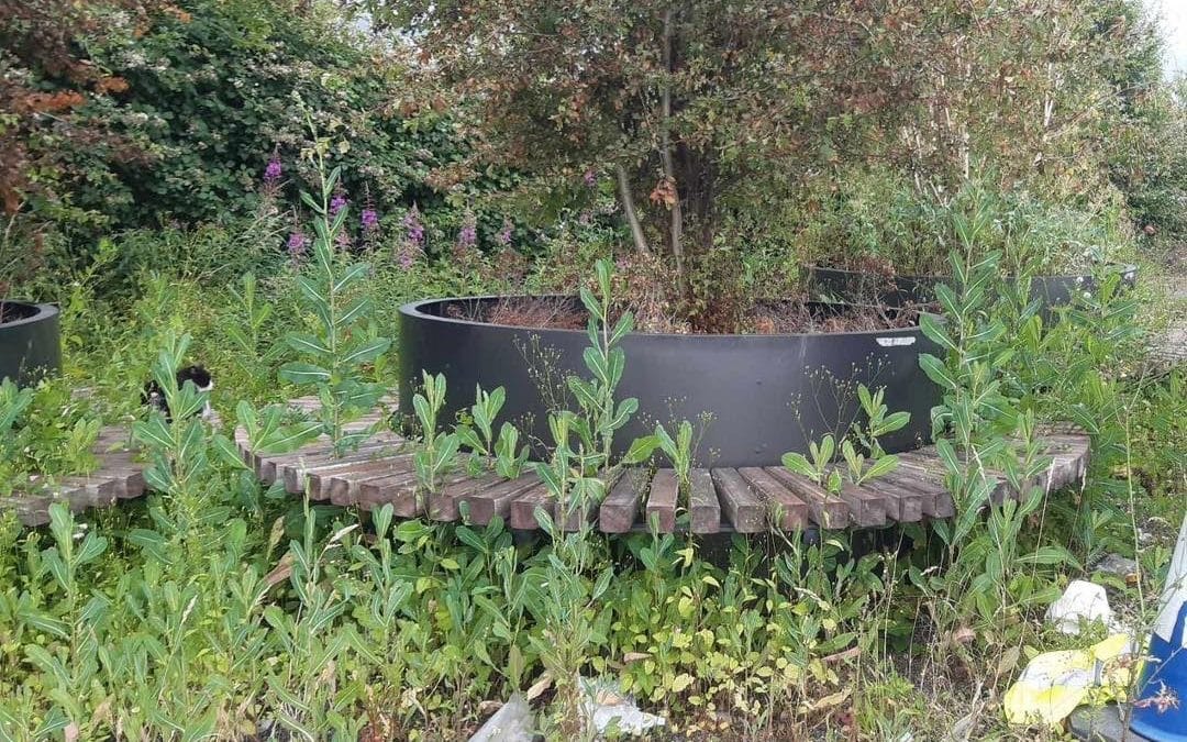 REVEALED | Herefordshire Council to give 14 planters currently stored at Rotherwas to five schools in Hereford with costs revealed
