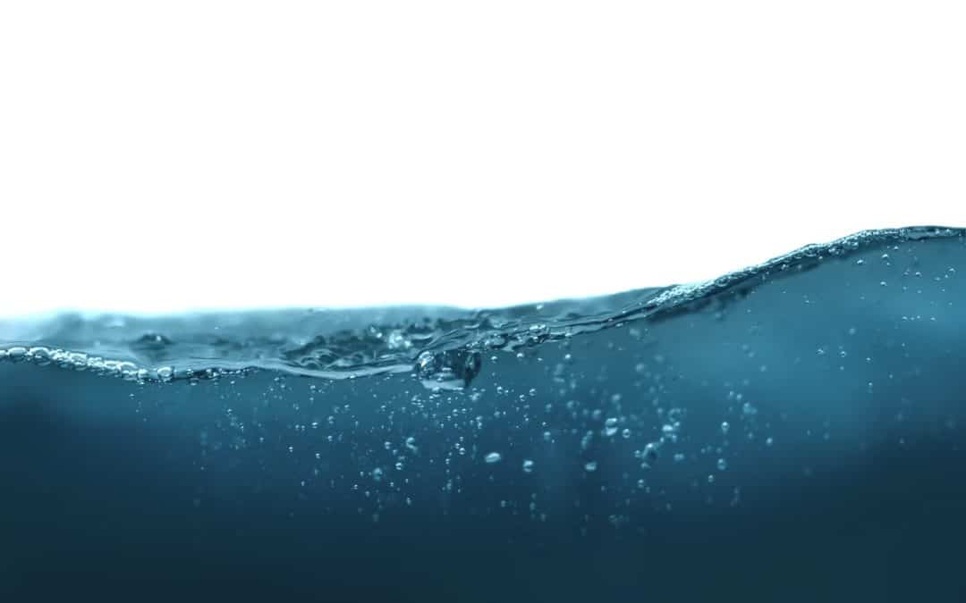 LATEST | Welsh Water has urged residents in Herefordshire and mid Wales not to waste water as heatwave continues