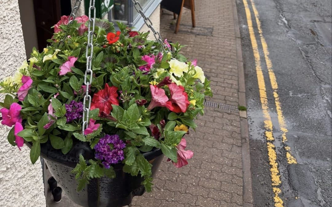 NEWS | Town Council shares disappointment after several hanging baskets were stolen over the weekend