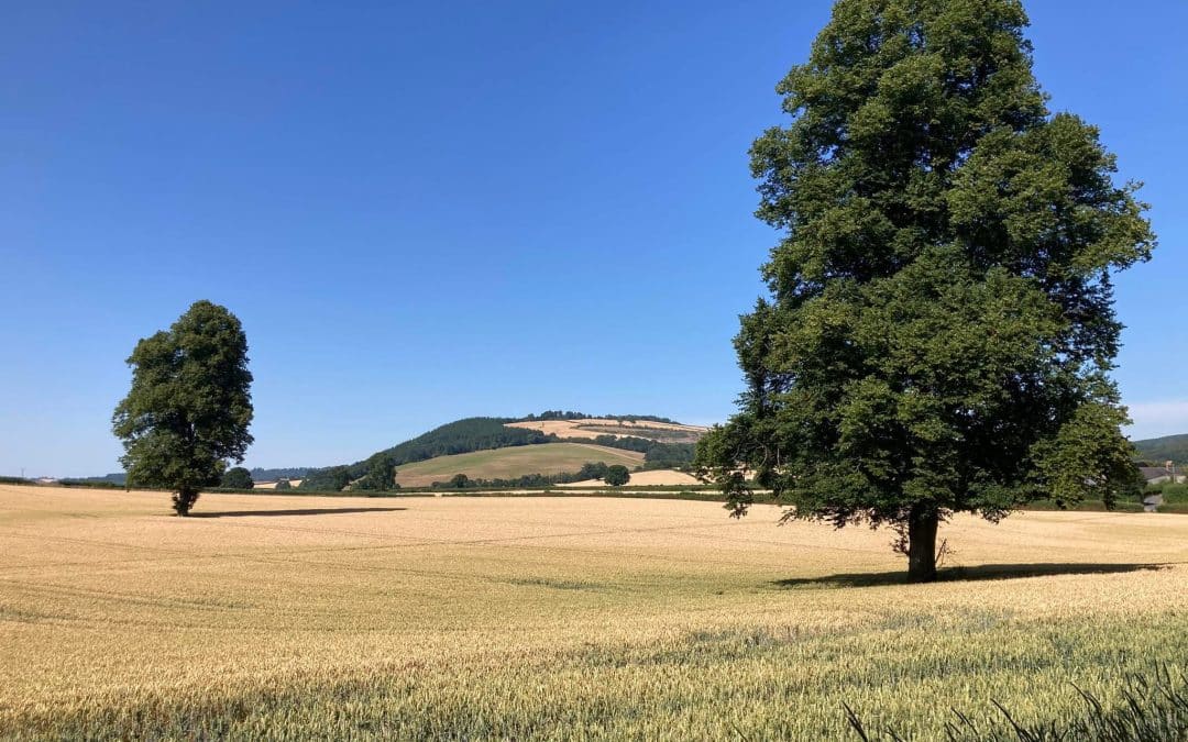 LATEST | Drought declared in Herefordshire and the West Midlands with further dry weather on the way