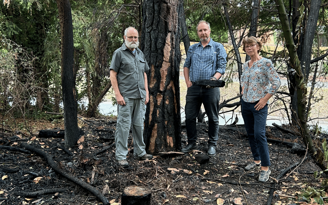 NEWS | Volunteers frustrated by fire in Churchill Gardens in Hereford