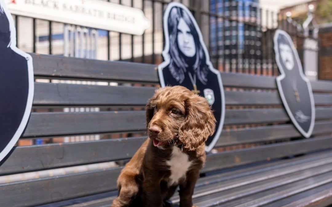 NEWS | A Police dog has been named after Ozzy Osbourne as tributes pour in following his death