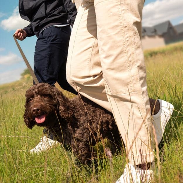 NEWS | A dog friendly Designer Shopping Outlet to open its doors for the first time later this month