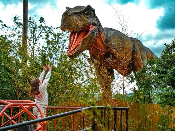 DINOSAUR WORLD | Did you know that Herefordshire is home to Dinosaur World? A fabulous place to visit this summer!