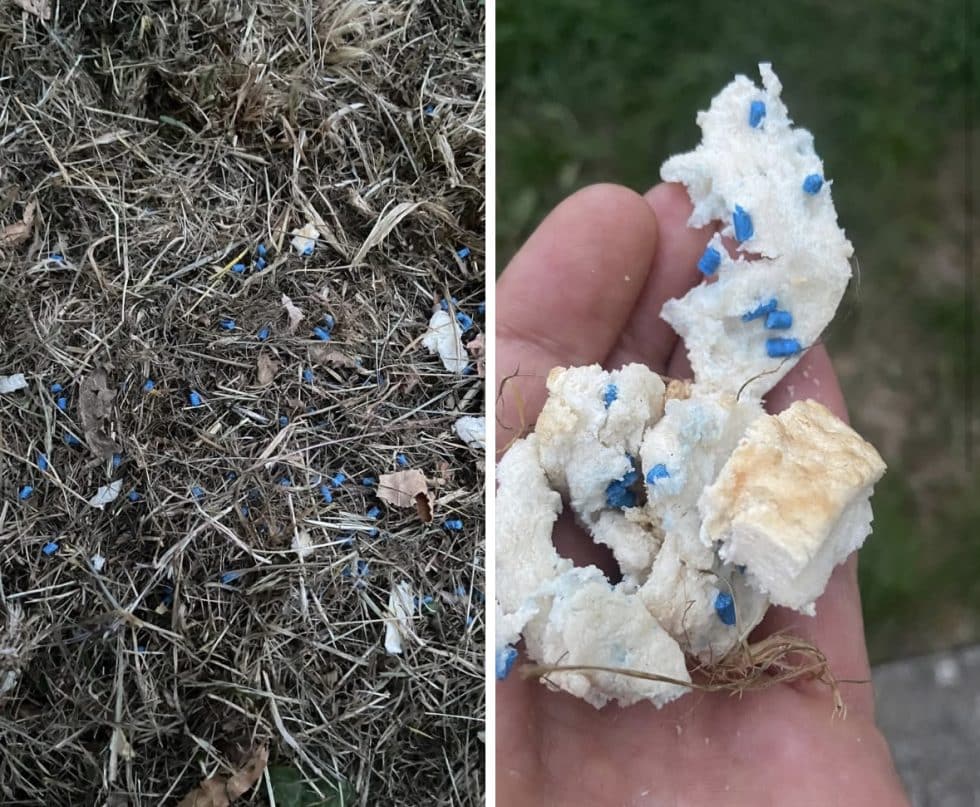 NEWS Dog walkers urged to remain vigilant after rat poison was found