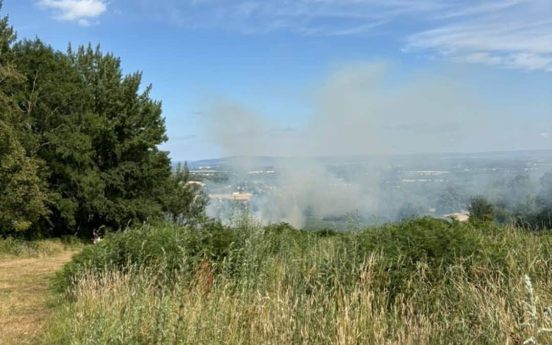 BREAKING | Fire crews called to a grass fire this evening