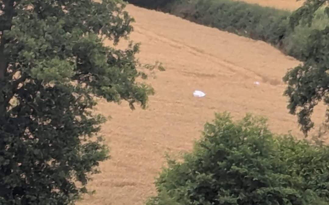 NEWS | Resident issues plea after a number of Chinese lanterns landed in a field with cattle