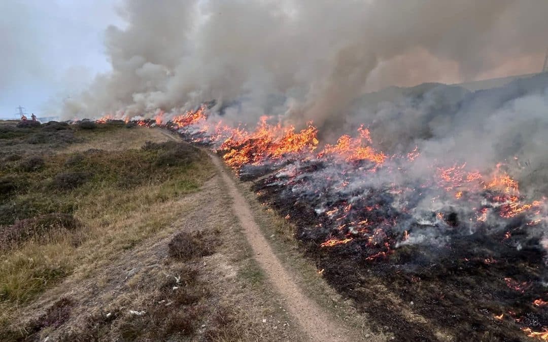 NEWS | Fire crews believe ‘significant wildfire’ was ‘deliberate act’ as fire continues to burn this lunchtime