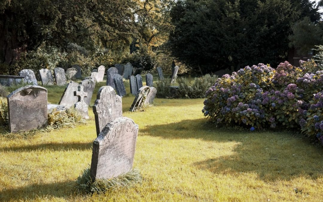 NEWS | Police issue an appeal after items were stolen from graves in a church yard