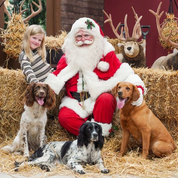 FEATURED | Ever thought of taking your dog to visit Santa? Well now you can!