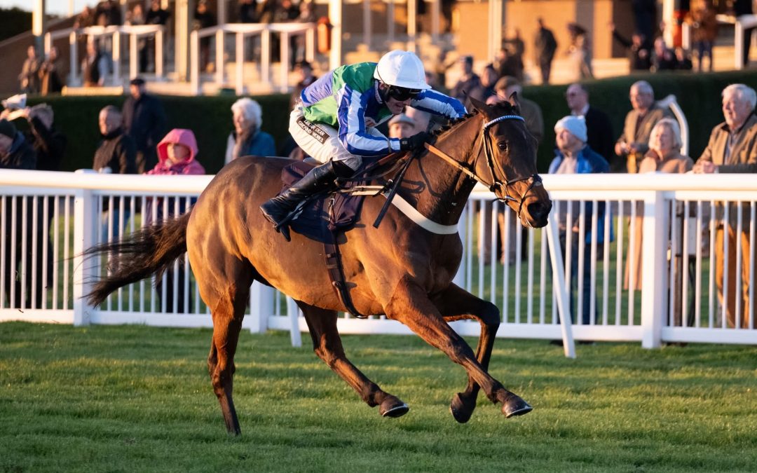 HORSE RACING PREVIEW | The first meeting of the New Year at Hereford arrives on Monday with a seven-race card over the Jumps