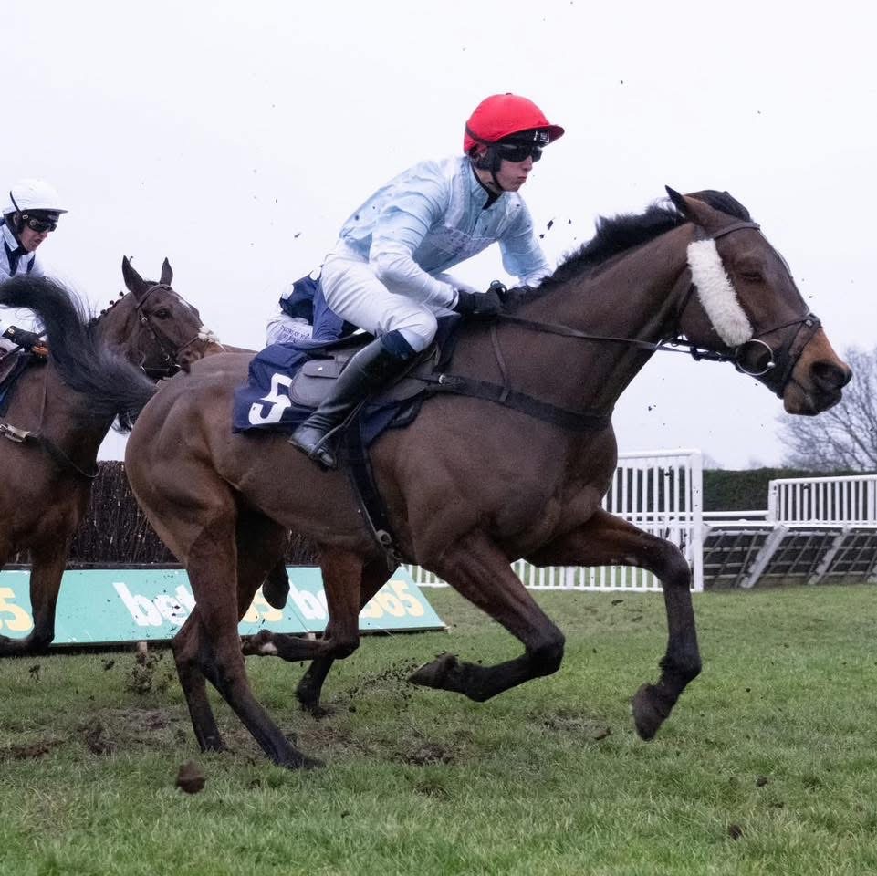 PREVIEW | It’s Ladies Day at Hereford Racecourse and here is a preview of what to expect with competitive day of racing expected