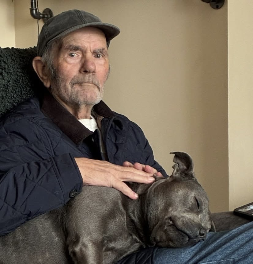 TRIBUTE | Family pays tribute to a man who died following a collision in Hereford