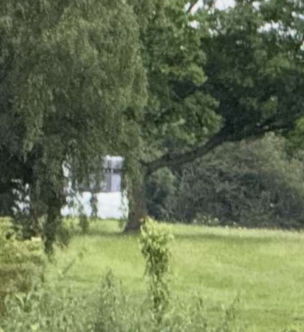 NEWS | Travellers have pitched up on a field in Hereford this evening