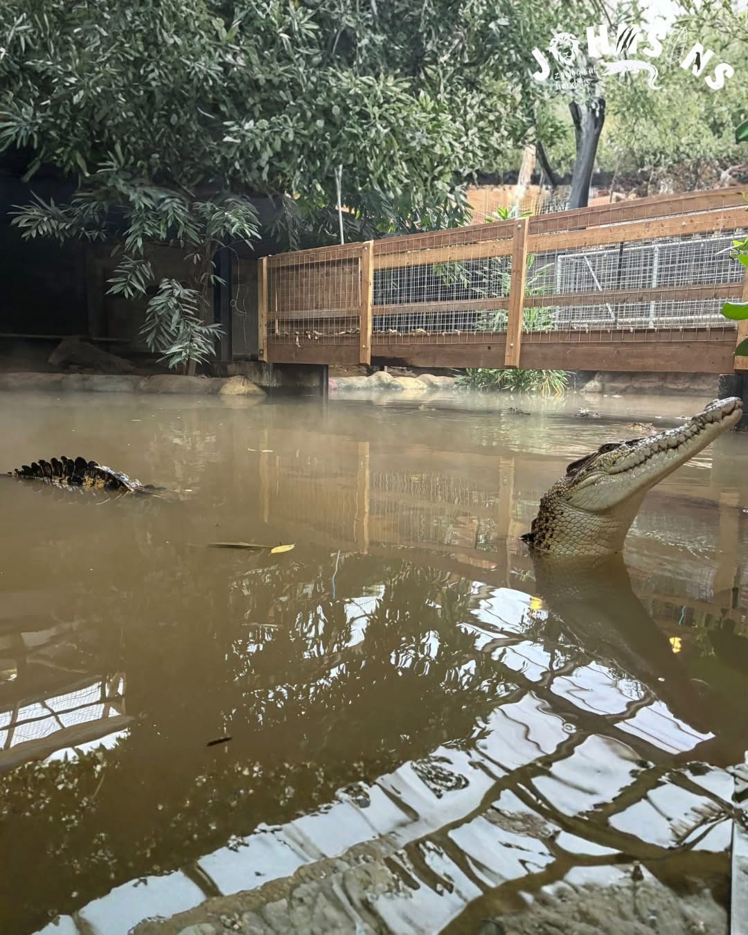 BREAKING NEWS | 3-year-old boy seriously injured and man arrested on suspicion of attempted murder following incident at a zoo